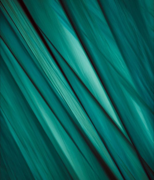 Abstract forest geometry with aqua laser lines composition